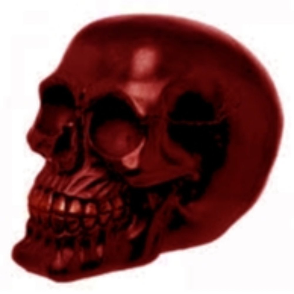 NEW Large Dark Brown Resin Skull Statue